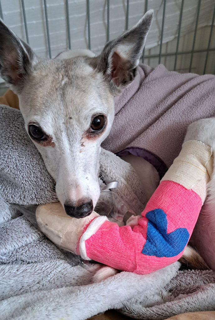 Millies latest X Ray results