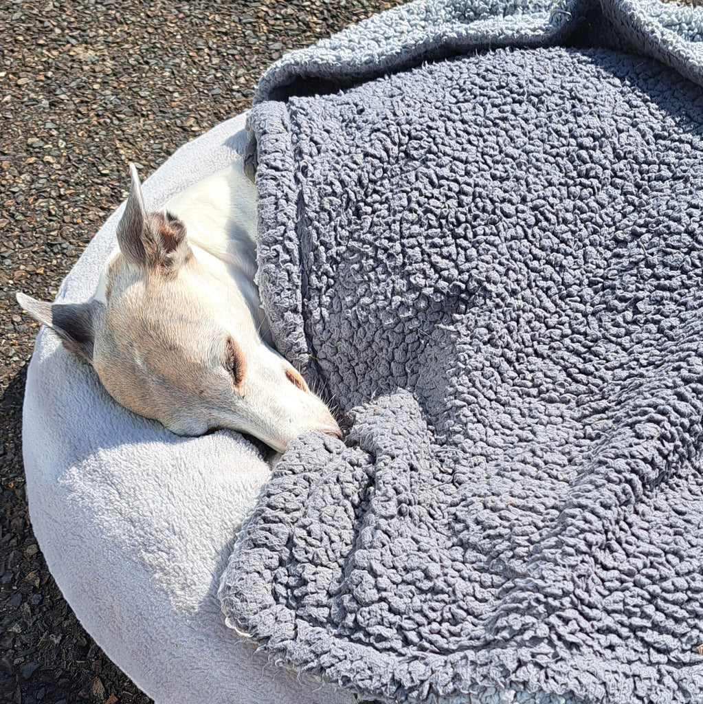 Latest update on Millie