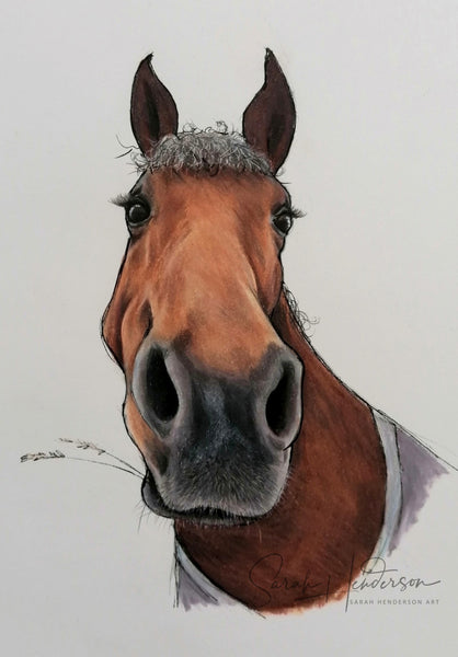 Horse Fine Art Print