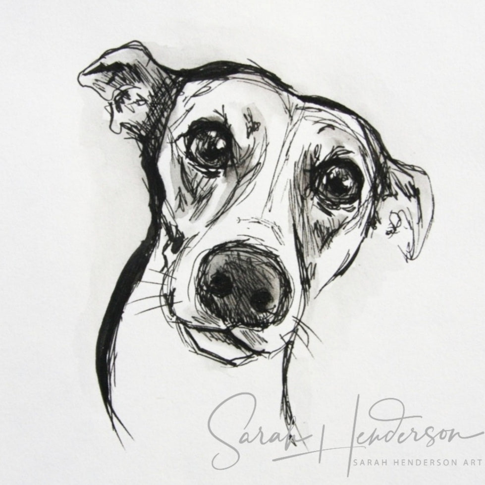 Whippet Line Drawing Fine Art Print