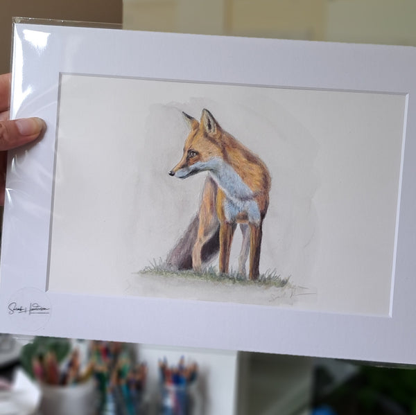 Fox Cub Original watercolour painting