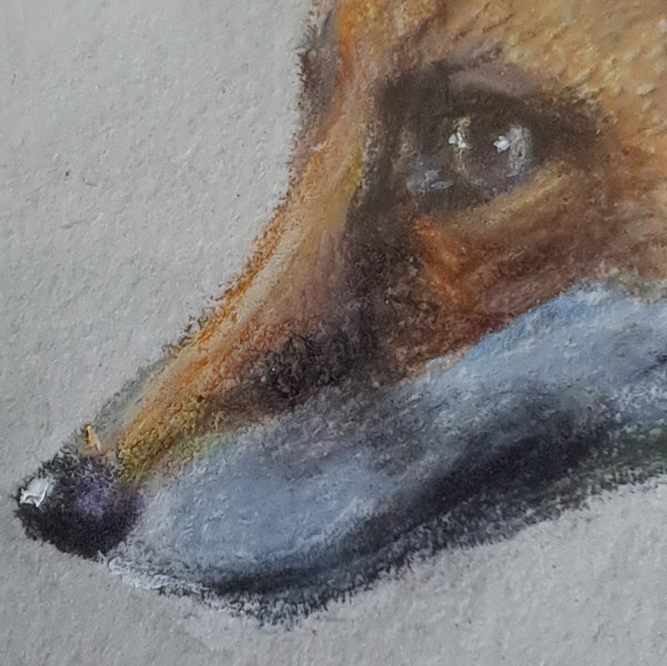 Fox Cub Original watercolour painting