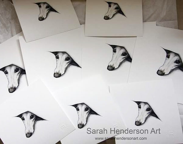 Peeping Whippet by Sarah Henderson.