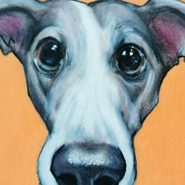 Lurcher / Greyhound Fine Art Print