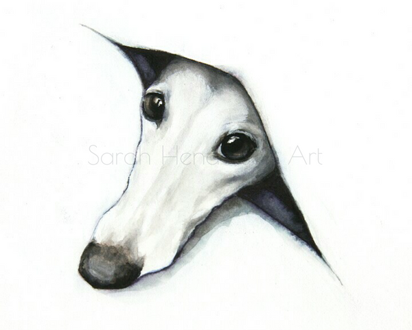 Peeping Whippet by Sarah Henderson.